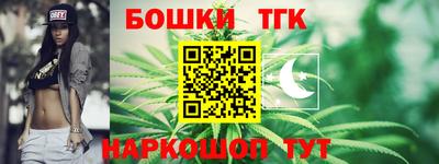 МДПВ Славгород
