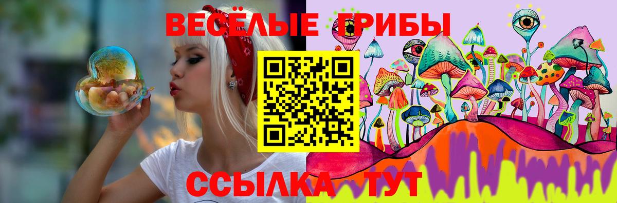 Галлюциногенные грибы Magic Shrooms  Вход с VPN  Сальск  Галлюциногенные грибы мицелий 
